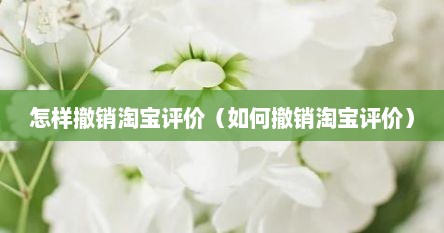 怎样撤销淘宝评价（如何撤销淘宝评价）