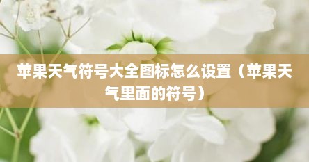 苹果天气符号大全图标怎么设置(苹果天气里面的符号)