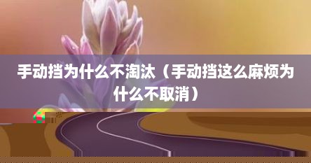 手动挡为什么不淘汰（手动挡这么麻烦为什么不取消）