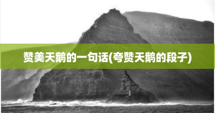 赞美天鹅的一句话(夸赞天鹅的段子)