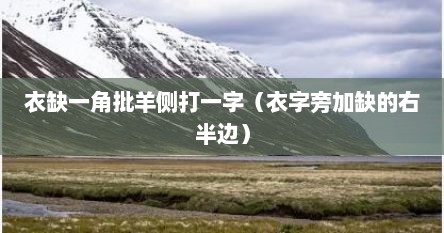 衣缺一角批羊侧打一字（衣字旁加缺的右半边）
