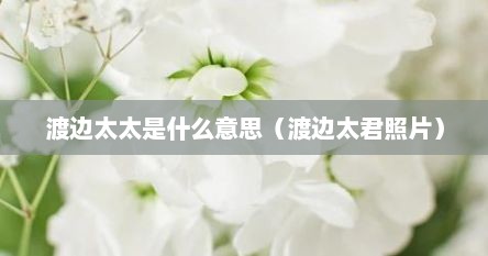 渡边太太是什么意思（渡边太君照片）