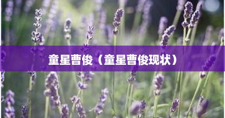 童星曹俊（童星曹俊现状）