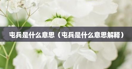 屯兵是什么意思（屯兵是什么意思解释）