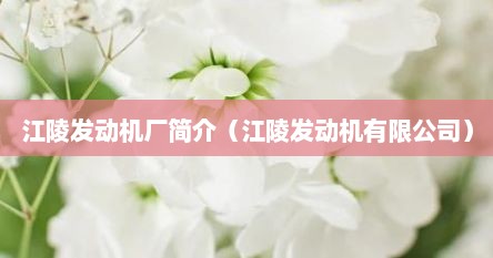 江陵发动机厂简介（江陵发动机有限公司）