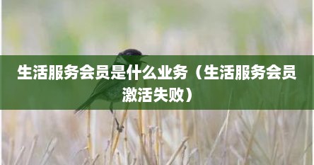 生活服务会员是什么业务（生活服务会员激活失败）