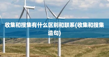 收集和搜集有什么区别和联系(收集和搜集造句)