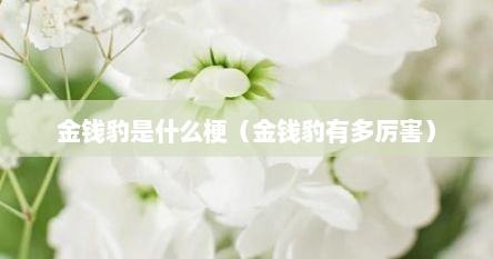金钱豹是什么梗（金钱豹有多厉害）
