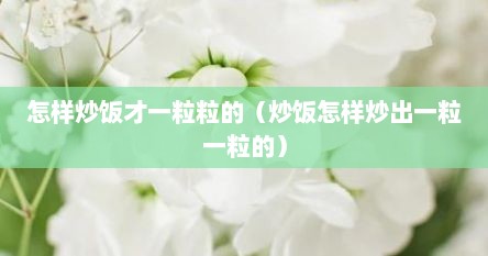 怎样炒饭才一粒粒的（炒饭怎样炒出一粒一粒的）