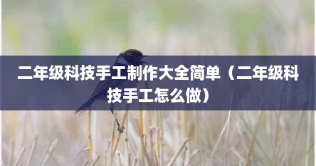 二年级科技手工制作大全简单（二年级科技手工怎么做）