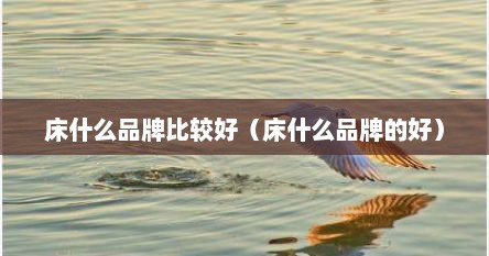 床什么品牌比较好（床什么品牌的好）