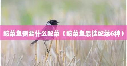 酸菜鱼需要什么配菜（酸菜鱼最佳配菜6种）