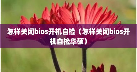 怎样关闭bios开机自检（怎样关闭bios开机自检华硕）