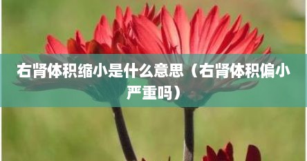 右肾体积缩小是什么意思（右肾体积偏小严重吗）