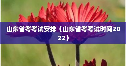山东省考考试安排（山东省考考试时间2022）