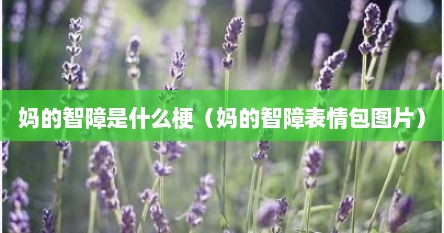 妈的智障是什么梗（妈的智障表情包图片）