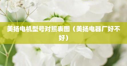 美扬电机型号对照表图（美扬电器厂好不好）