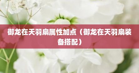 御龙在天羽扇属性加点（御龙在天羽扇装备搭配）