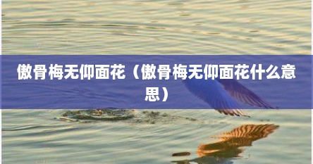 傲骨梅无仰面花（傲骨梅无仰面花什么意思）
