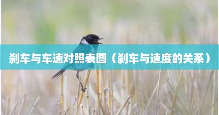 刹车与车速对照表图（刹车与速度的关系）