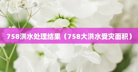 758洪水处理结果（758大洪水受灾面积）