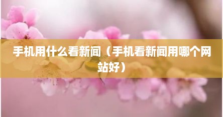 手机用什么看新闻（手机看新闻用哪个网站好）
