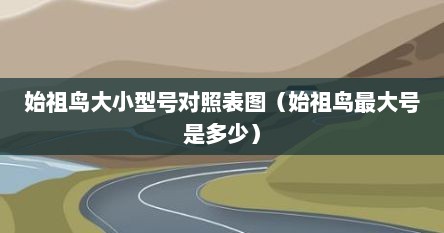 始祖鸟大小型号对照表图（始祖鸟最大号是多少）