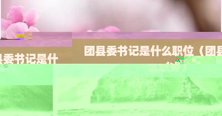 团县委书记是什么职位（团县委书记是什么职务）