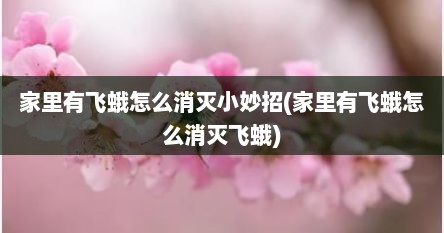 家里有飞蛾怎么消灭小妙招(家里有飞蛾怎么消灭飞蛾)