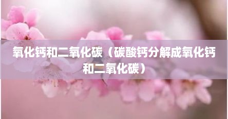 氧化钙和二氧化碳（碳酸钙分解成氧化钙和二氧化碳）