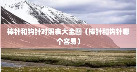 棒针和钩针对照表大全图（棒针和钩针哪个容易）