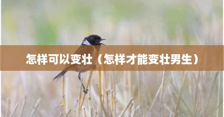 怎样可以变壮（怎样才能变壮男生）