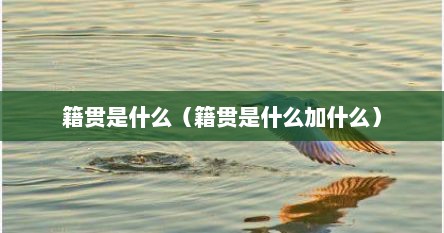 籍贯是什么（籍贯是什么加什么）