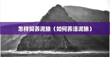 怎样饲养泥鳅（如何养活泥鳅）