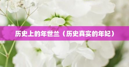 历史上的年世兰（历史真实的年妃）
