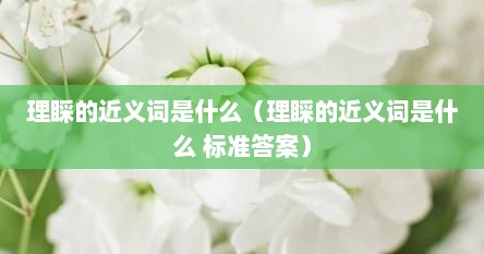 理睬的近义词是什么（理睬的近义词是什么 标准答案）