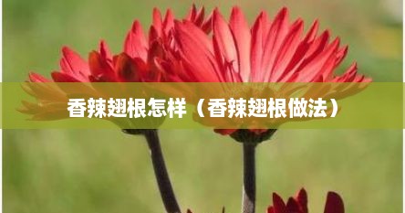 香辣翅根怎样（香辣翅根做法）