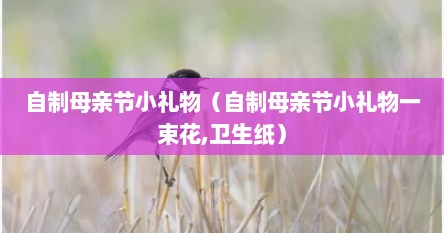 自制母亲节小礼物（自制母亲节小礼物一束花,卫生纸）