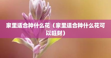家里适合种什么花（家里适合种什么花可以旺财）