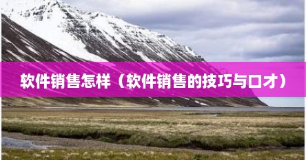 软件销售怎样（软件销售的技巧与口才）