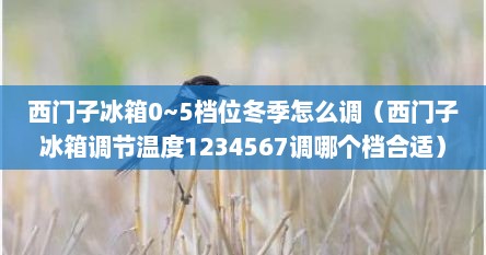 西门子冰箱0~5档位冬季怎么调（西门子冰箱调节温度1234567调哪个档合适）