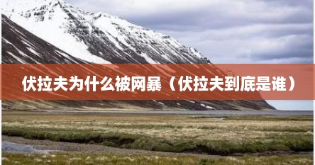 伏拉夫为什么被网暴（伏拉夫到底是谁）