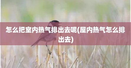 怎么把室内热气排出去呢(屋内热气怎么排出去)