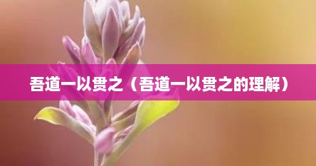 吾道一以贯之（吾道一以贯之的理解）