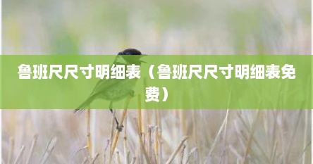 鲁班尺尺寸明细表（鲁班尺尺寸明细表免费）