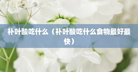 补叶酸吃什么（补叶酸吃什么食物最好最快）