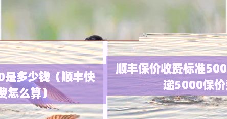 顺丰保价收费标准5000是多少钱（顺丰快递5000保价费怎么算）