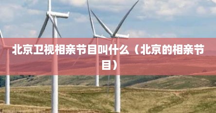 北京卫视相亲节目叫什么（北京的相亲节目）
