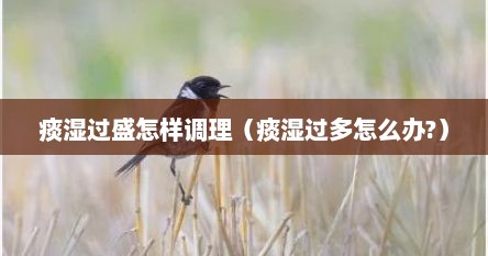 痰湿过盛怎样调理（痰湿过多怎么办?）