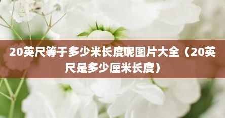 20英尺等于多少米长度呢图片大全（20英尺是多少厘米长度）